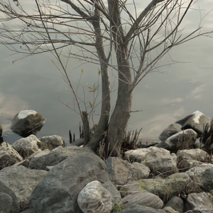 日亚州女人逼好叙服
