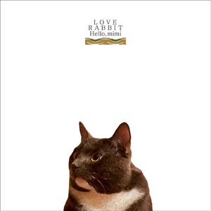 日亚州女人逼好叙服
